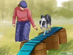 a woman is playing with her dog on a barrel