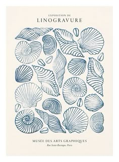 an illustration of seashells in blue ink with the words,'museum des arts graphiques '