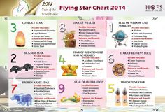 the flyer for flying star chart 2013 is shown in pink and white with images of different items