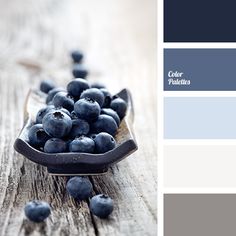 blueberries in a bowl on a wooden table with color swatches for the paint