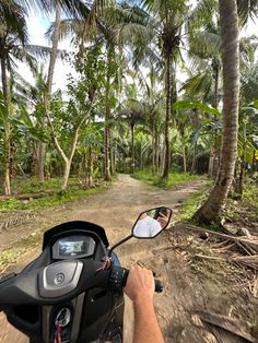 a person riding a motorcycle on a dirt road surrounded by palm trees and greenery