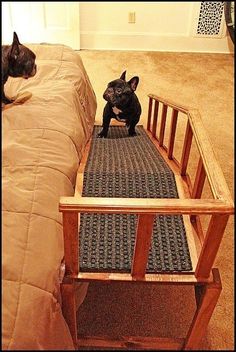 two small dogs sitting on top of a wooden bench next to a bed in a living room