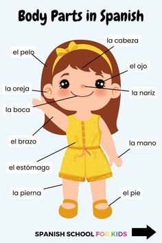 Your kids can learn Spanish with a smile with interactive Spanish lessons for kids like this video to learn body parts in Spanish - even if you know zero Spanish! Spanish lessons for children should be engaging for them & easy Spanish lessons for you to provide for your kids. Click the link for this video (and more free Spanish lessons online - perfect vritual Spanish lessons that are flexible for you) today! Spanish Words For Kids, Spanish Body Parts, Body Parts In Spanish, Preschool Spanish Lessons, Summer Education, Beginner Spanish Lessons, Teach Yourself Spanish, Free Spanish Lessons, Spanish Learning Activities