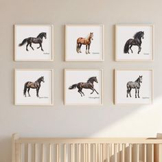 Transform any room with this beautiful Horse Breed Print Set. Featuring ten stunning illustrations of various horse breeds,Horse Breed Poster Set! This digital collection includes 10 beautifully illustrated horse breeds, featuring: Arabian Clydesdale Friesian Quarter Horse Thoroughbred Appaloosa Tennessee Walking Horse American Paint Horse Morgan American Warmblood Perfect for: Baby nurseries or children's rooms Gifts for horse enthusiasts, educators, or kids Enhancing learning spaces with engaging visuals Care Instructions: For the best results, print your artwork on high-quality matte or lustre paper. Frame and display them to keep them safe and vibrant. Avoid direct sunlight to prevent fading. Instant Download Benefits: No waiting! Simply purchase, download, and print at home or through Tennessee Walking Horse, American Paint Horse, Walking Horse, Paint Horse, American Paint, Clydesdale, Wall Art Nursery, Appaloosa, Learning Spaces