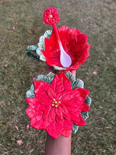 a person's hand holding two red flowers on top of each other in the grass