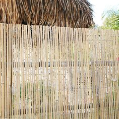 a close up view of a bamboo fence and thatched roof with palm trees in the background