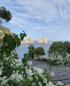 white flowers are growing on the side of a wooden deck near water and mountains in the distance