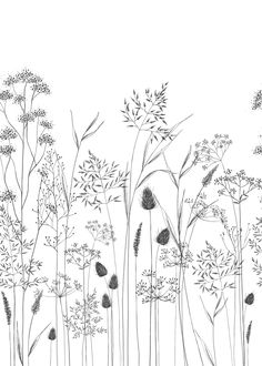 black and white drawing of wildflowers in the field with grass on each side