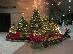 a woman is sitting on a bench in front of christmas trees with lights hanging from them