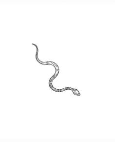 a black and white drawing of a snake