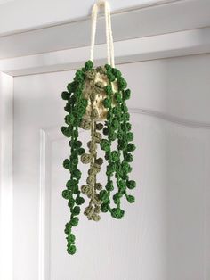 a green plant hanging from the side of a door