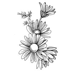 black and white drawing of flowers