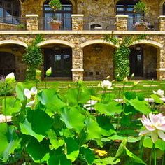 there is a large building with many windows and plants in the foreground, along with several water lilies