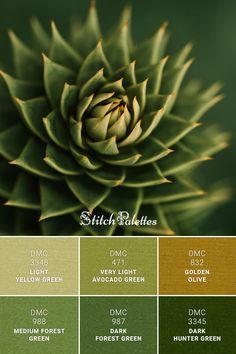 the color palette is green and gold for this image, it looks like an artichoke