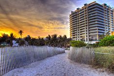 the beach is lined with tall buildings and palm trees in front of an orange sunset