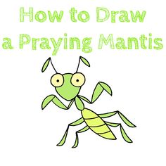 an insect with the words how to draw a praying mantis