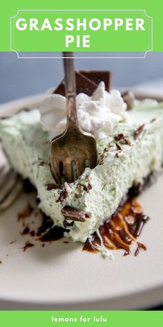 Creamy no-bake grasshopper pie recipe Grasshopper Pie Recipe, Mint Pie, Easy Cream Pie, Chess Pie Recipe, Mini Fruit Tarts, Grasshopper Pie, Mint Chocolate Cake, Mint Cake, Whoopie Pie Recipe