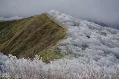 the mountain is covered in frosty trees