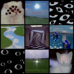 a collage of pictures with cats and eyes