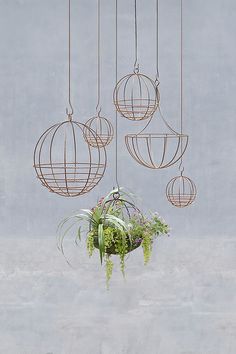 hanging planters with plants in them against a gray wall and concrete flooring area