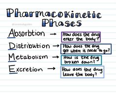 a handwritten note with the words pharmacokinetic phases and instructions on it