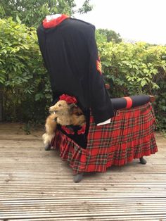 a dog in a kilt sitting on top of a chair