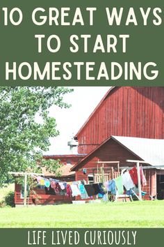 Find out if homesteading is right for you with these tips on what skills to learn, necessary mindset changes, and 10 easy ways to start homesteading. This is great for anyone who wants to test out a different lifestyle before actually buying a homestead! Homesteading For Profit, Making Money On Homestead, Ways To Make Money On A Homestead, Make Money Homesteading, Medicine Recipes, Big Farm, Homesteading Diy, Cash Crop, Farm Kids