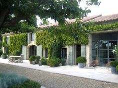 a house covered in vines and potted plants next to a gravel path with chairs