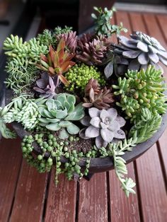 there are many succulents in the bowl on the table