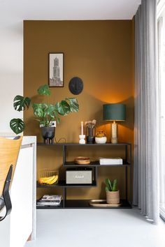 a living room filled with lots of furniture and plants on top of bookshelves