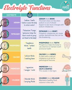 an image of the different types of electrical functions in human body and brain systems, with text below