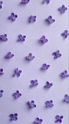 many small purple flowers on a white surface