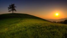 the sun is setting over a grassy hill with a lone tree on it's side