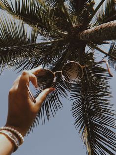 the palm tree is reaching up into the sky to pick something out of it's leaves