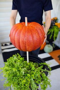 a person holding a fake pumpkin on top of a potted plant in front of a house