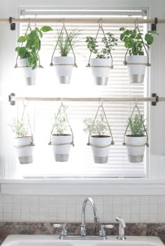 a kitchen sink under a window with potted plants hanging from it's side