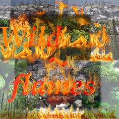 wild fires, global warming, maui, hawaii, yellowknife, Wildfire Book, Wild Fire Book, Wild Fire, China Travel, Chinese Art, How To Memorize Things