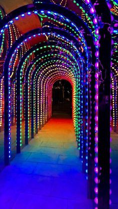 an archway covered in multicolored lights