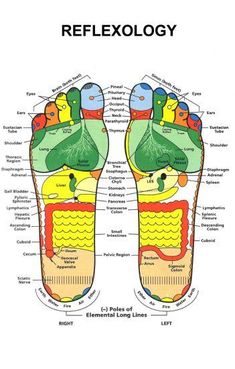 Reflexology Foot Poster 24in x 36in Reflexology Foot Chart, Foot Reflexology Massage, Reflexology Chart, Reflexology Massage, Foot Reflexology, Healing Touch, Loose Skin, Reflexology, Limes