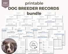 the printable dog breeder records bundle