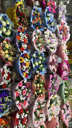 a bunch of flowers that are hanging up on a wall in front of a building