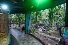 the inside of an aquarium with plants and rocks