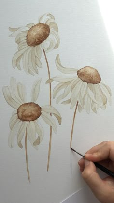 a person is drawing flowers on a white paper