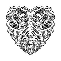 a heart shaped sticker with an image of the ribs