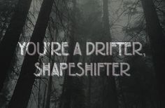 the words you're a drifter, shapeshifter are in front of trees