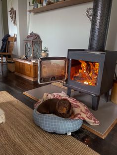 a dog is sleeping in his bed next to the fireplace