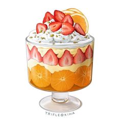 a drawing of a dessert with strawberries and oranges