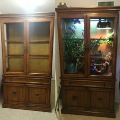 two wooden cabinets with plants in them and one has a fish tank on the top