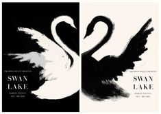 two black and white posters with swans on them