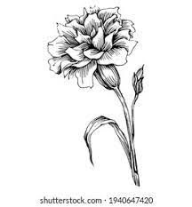 a black and white drawing of a flower